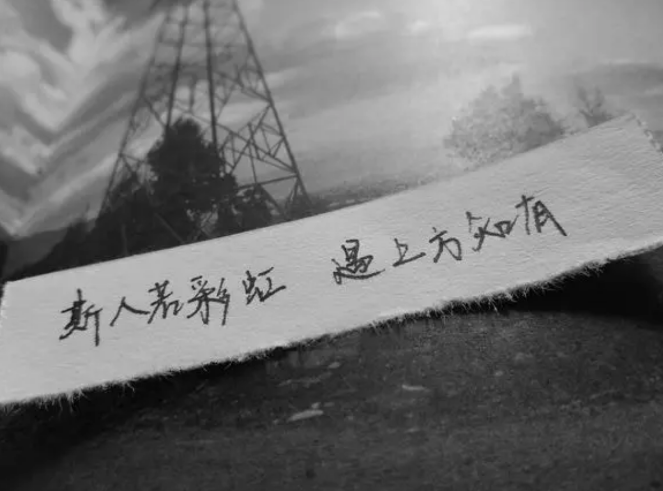 怦然心动-大学那年的恋爱