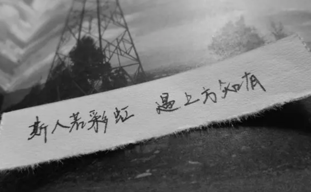 怦然心动-大学那年的恋爱