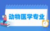 动物医学专业学什么_就业前景怎么样？