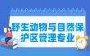 野生动物与自然保护区管理专业学什么_就业前景怎么样？