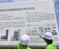 深入调研秸秆能源化利用项目,探索可持续发展新路径